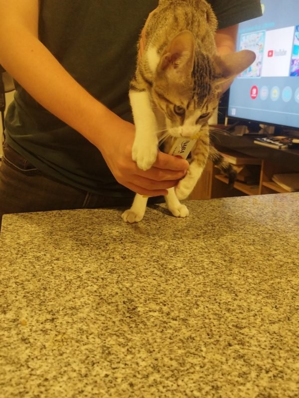 gatotom