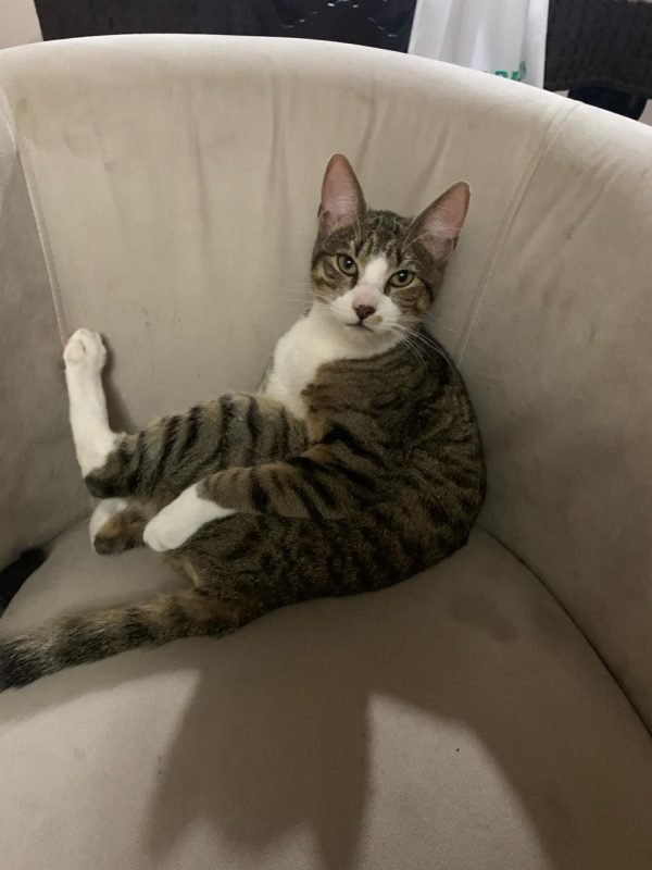 tom sentado